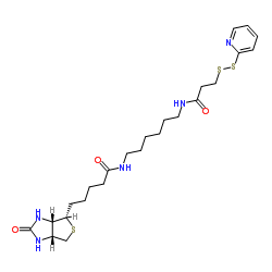 Biotin-HPDP 129179-83-5